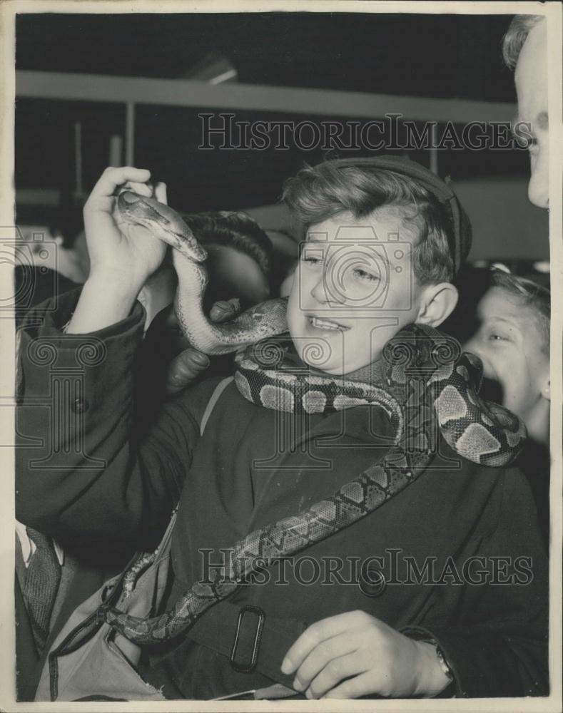 1955 Press Photo Barry Dodd and a couple of python snakes - Historic Images