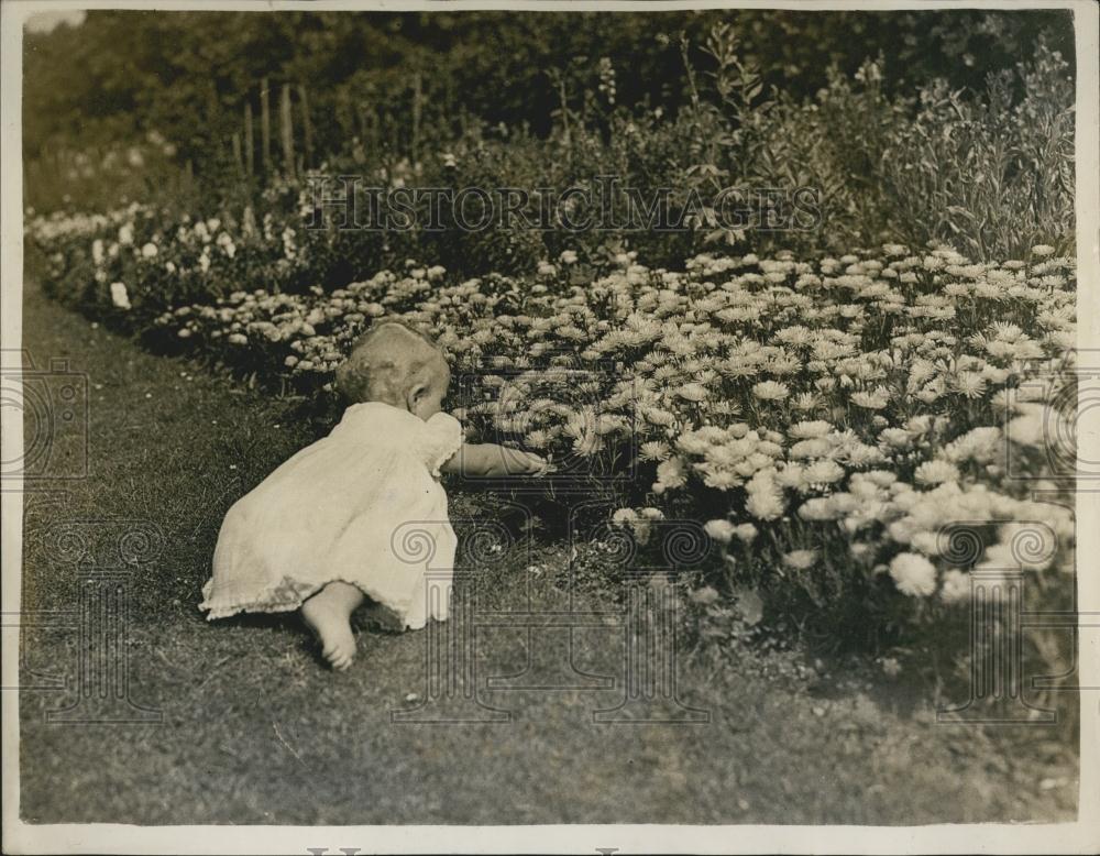 1951 Press Photo Princess Ann, 1 yr old - Historic Images