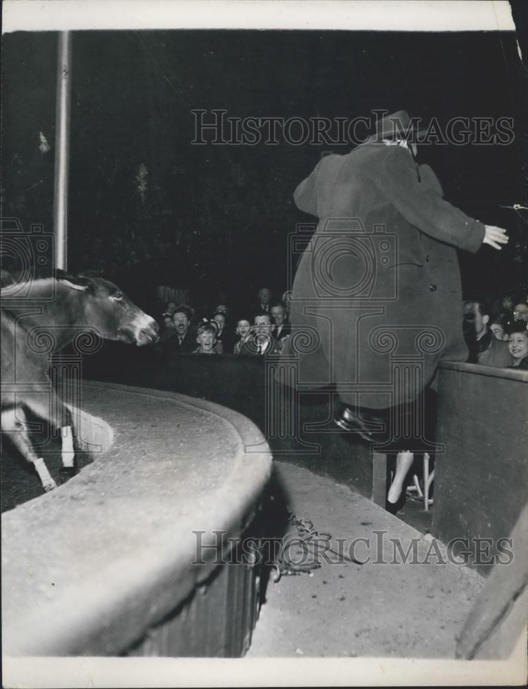 Press Photo Bertram Mills Circus at Olympia - Historic Images