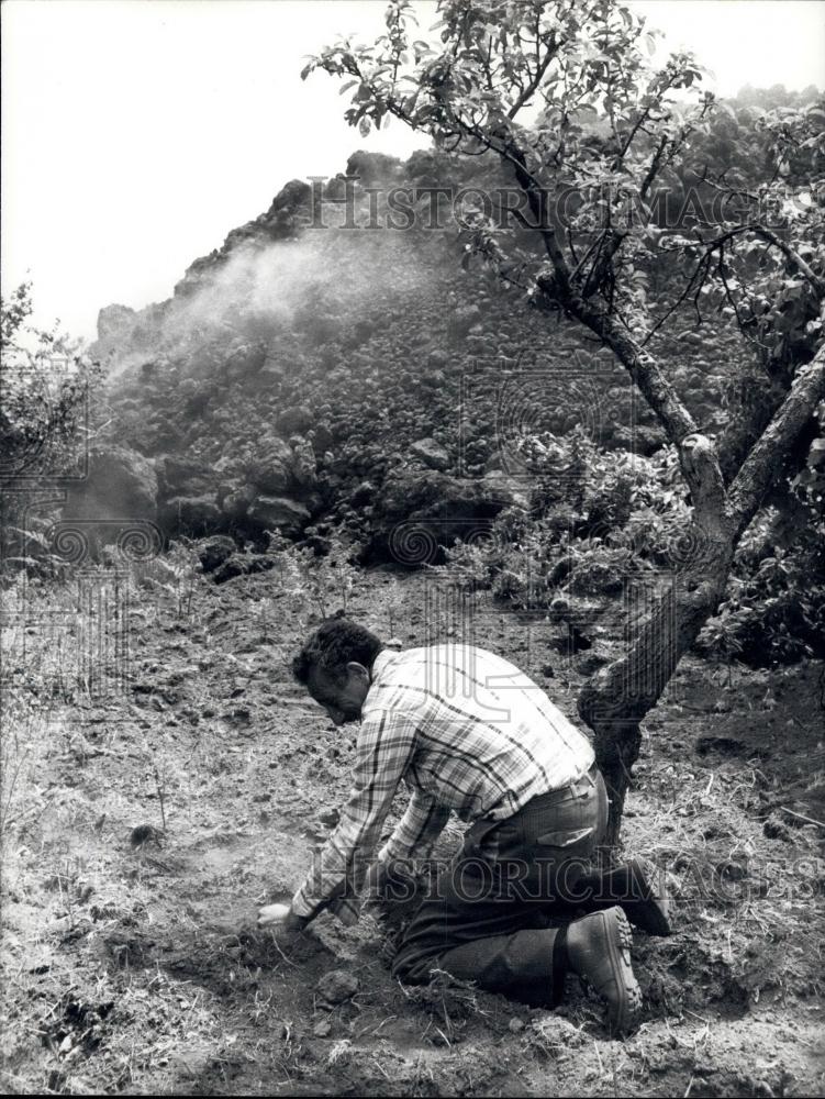 Press Photo Mount Etna Volcano, Sicily - Historic Images