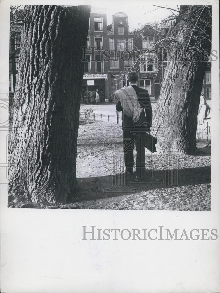 1951 Press Photo Spring in Holland 1951 - Historic Images