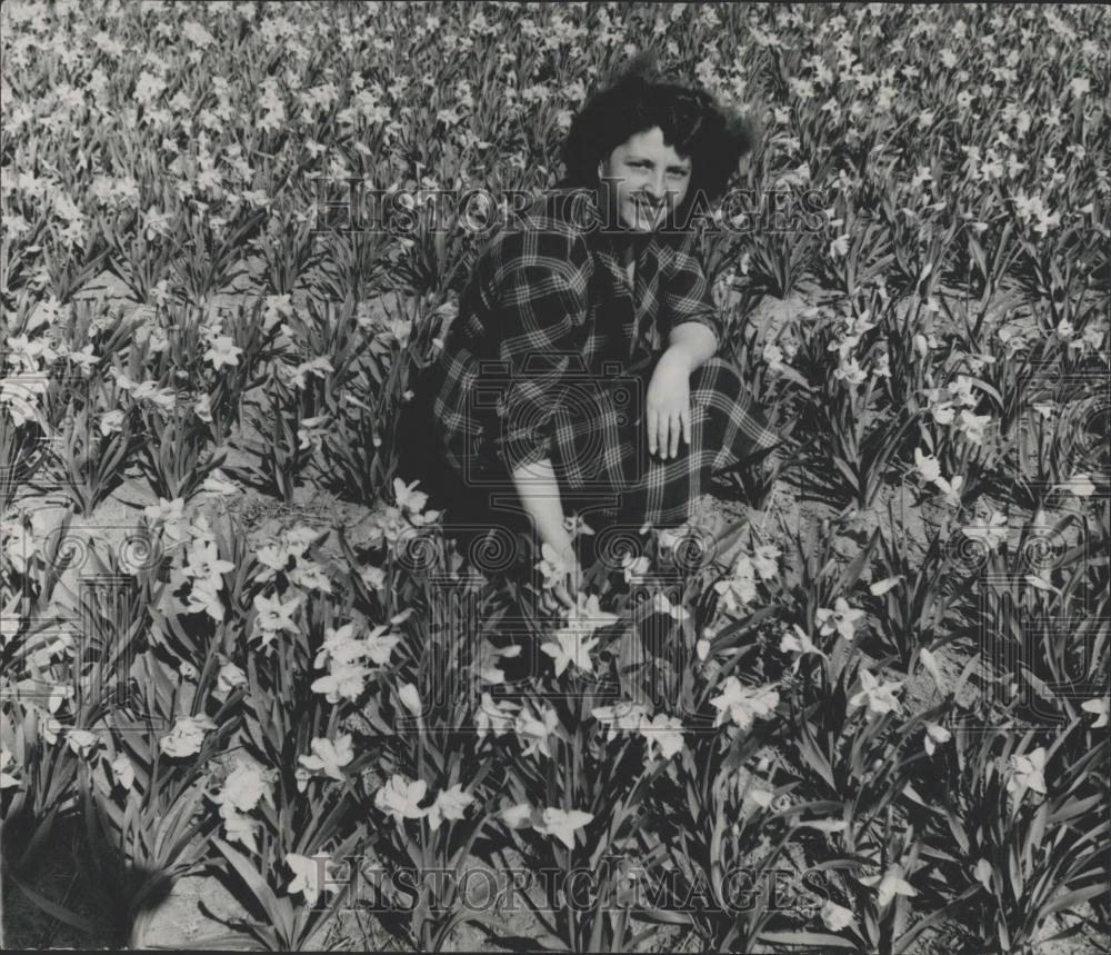 1953 Press Photo First Flowerbulbs in Holland In Bloom - Historic Images