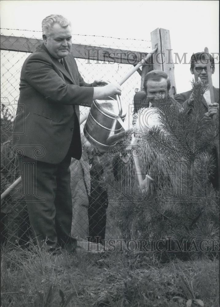 1972 Press Photo Trees planted atOlympic-Park - Historic Images