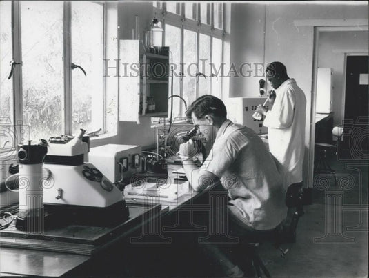 Press Photo Doctor H.J.C. Watson Medical Research Officer Salisbury Wiltshire - Historic Images