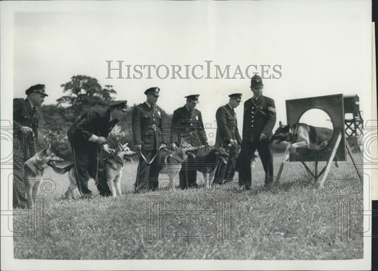 1950 Press Photo American Policemen Learn To Handle Dogs - Historic Images