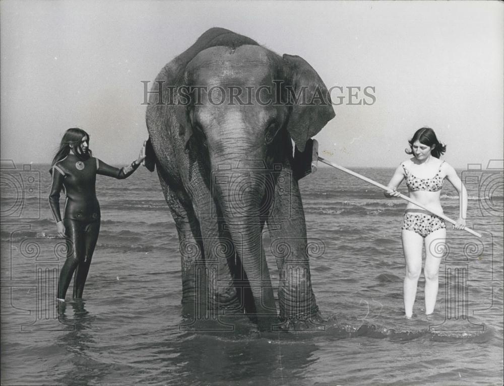 Press Photo Linda Burley And Denise Hunwicks Scrub Tanya The elephant - Historic Images