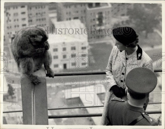 1954 Press Photo H.M. The Queen, seen with "Max" barbary apes - Historic Images