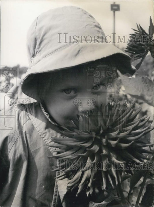 1963 Press Photo Exposition of Dahlias will be Opened in the "Pare De Sceaux" - Historic Images