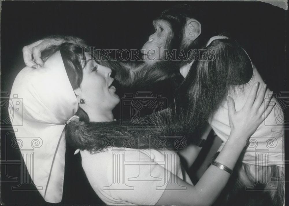 1965 Press Photo Chimpanzee Petermann & Gilla Gottehardt - Historic Images