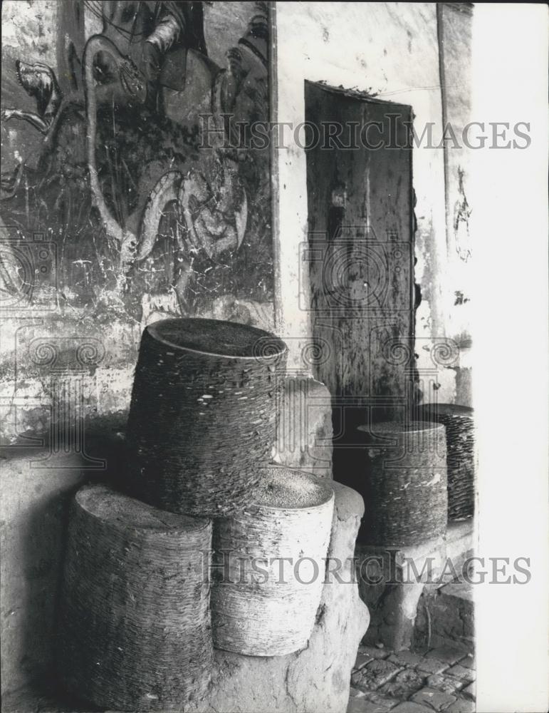 Press Photo Puya Plant Trunks Cut Used As Seats High Andes Local - Historic Images