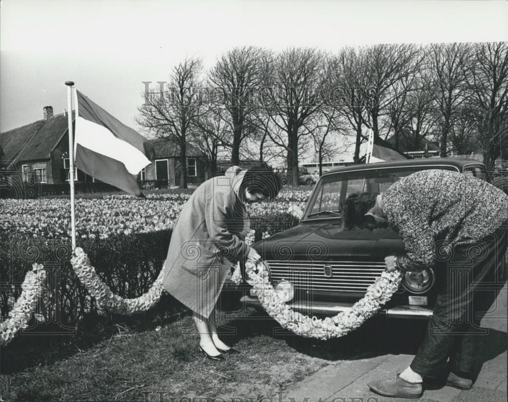 1968 Press Photo Bulb flowertime in Holland - Historic Images