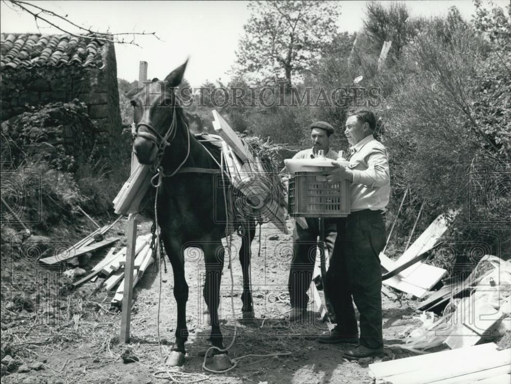 1971 Press Photo Damage caused by Mt Etna eruption - Historic Images