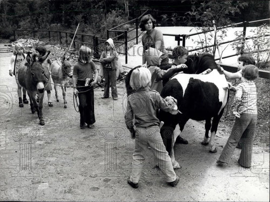 1977 Press Photo Children's Zoo at Basle - Historic Images