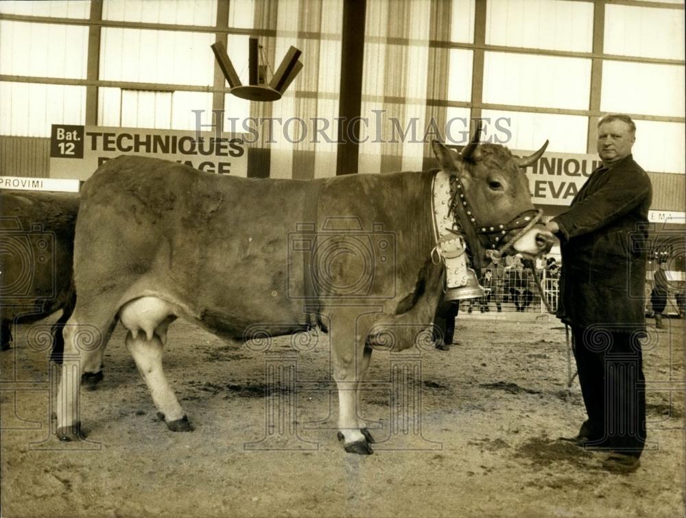 1973 Press Photo Agricultural Show Paris Man Displaying Cow - Historic Images