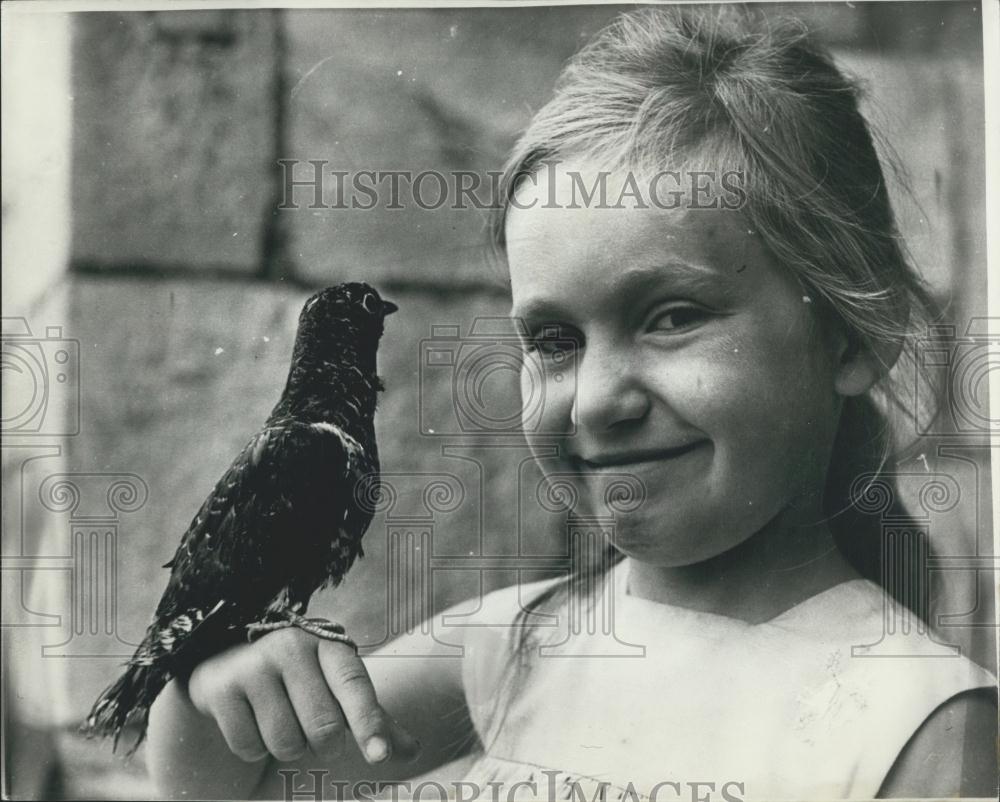 Press Photo Perky, the cuckoo.and a young girl - Historic Images