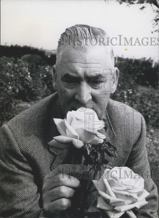 Press Photo Harry Edland Secy of Nat'l Rose Society With New Rose - Historic Images