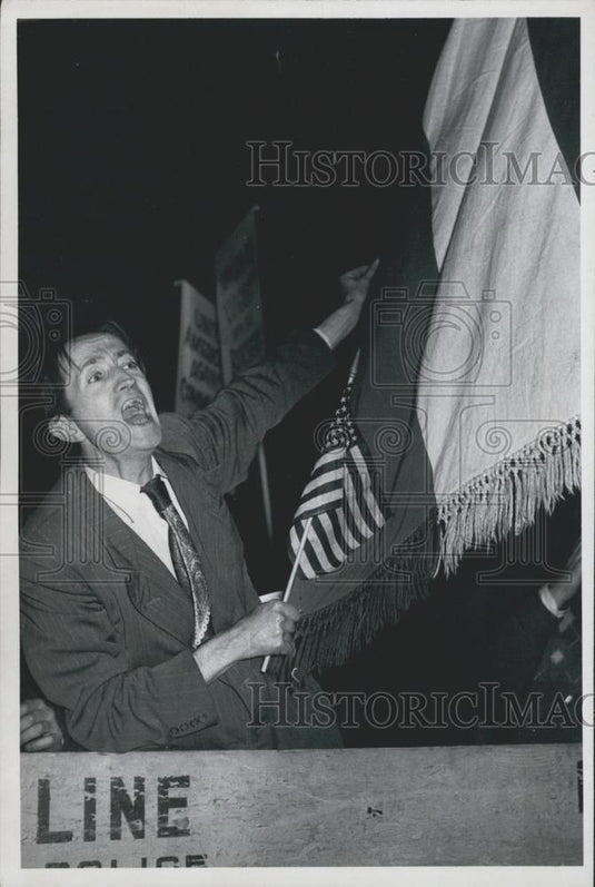 1956 Press Photo Demonstration of Hungarians in New York - Historic Images