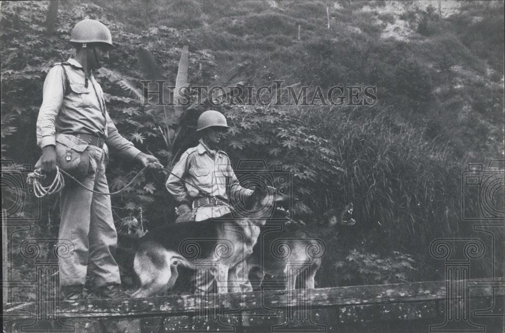 1967 Press Photo Soldiers with Dogs - Historic Images