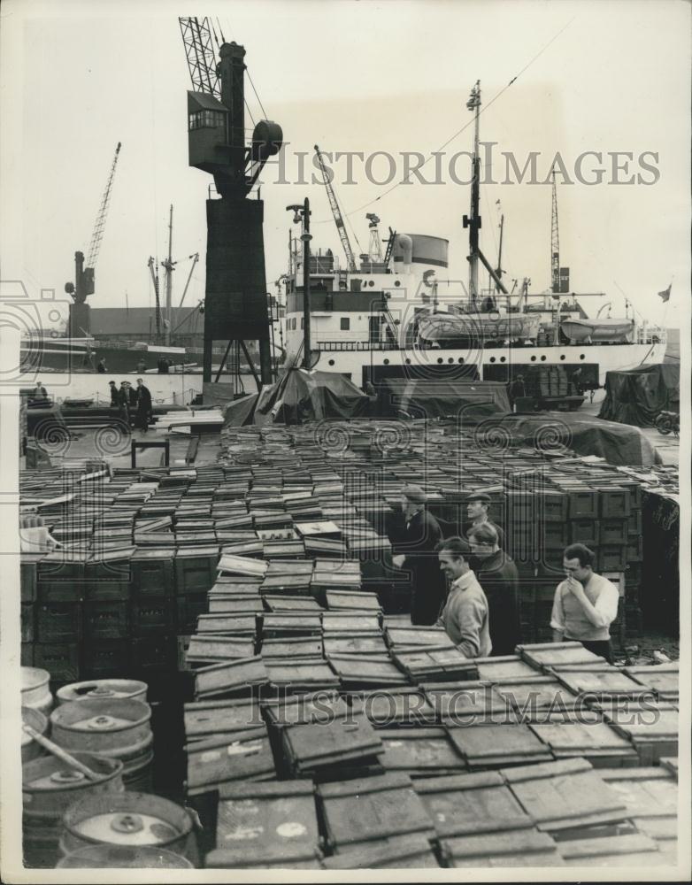 Press Photo Seal Catcher, Motor Vessel Theron - Historic Images