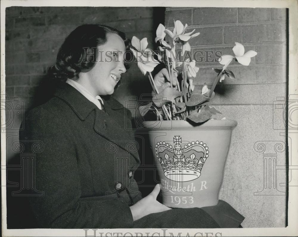 1953 Press Photo Coronation Flower Pot Royal Horticulture Society Show - Historic Images