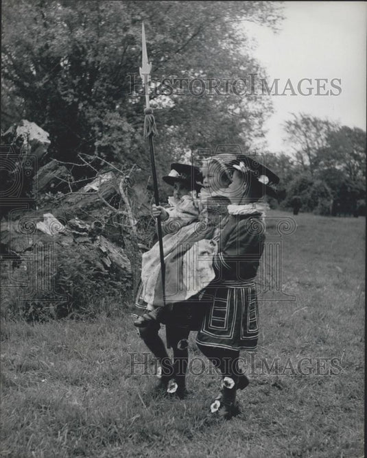 Press Photo Cattle Get Preview of Villages's Coronation on Tableau - Historic Images