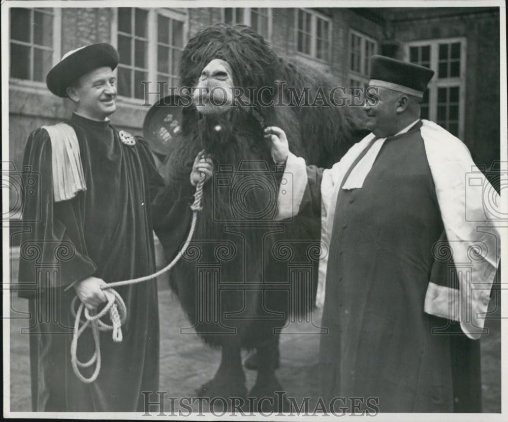 1953 Press Photo 300th Anniversary of The Danish Wine Guild In Copenhagen - Historic Images