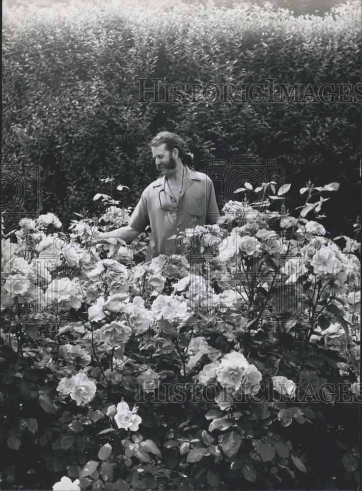 Press Photo Rose King: Harry Wheatcraft - Historic Images