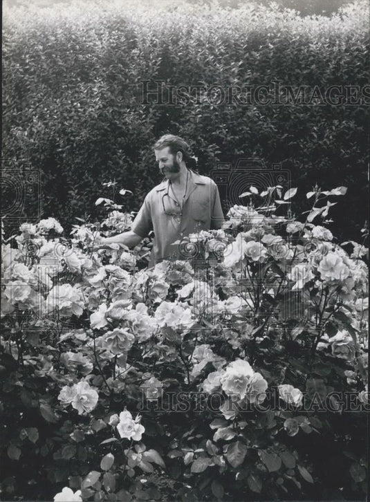 Press Photo Rose King: Harry Wheatcraft - Historic Images