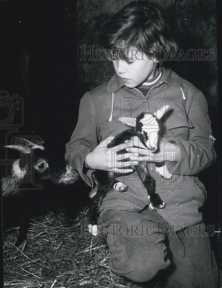 1957 Press Photo The little goat has been born at Hagenbeck&#39;s in Hamburg - Historic Images