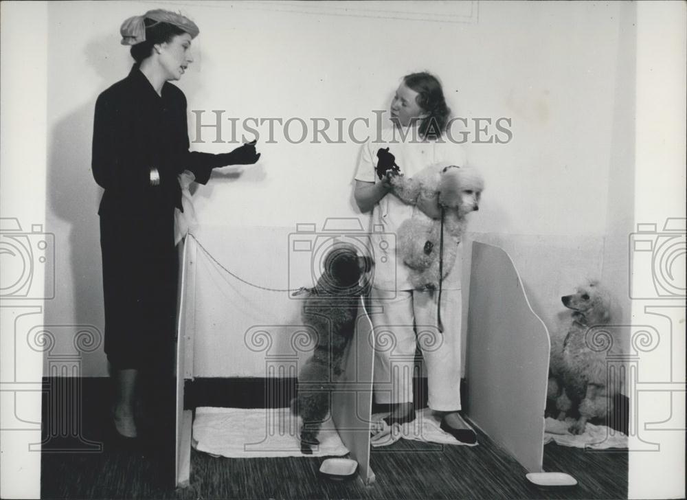 Press Photo Waiting Room Of The Dogs&#39; Beauty Salon - Historic Images