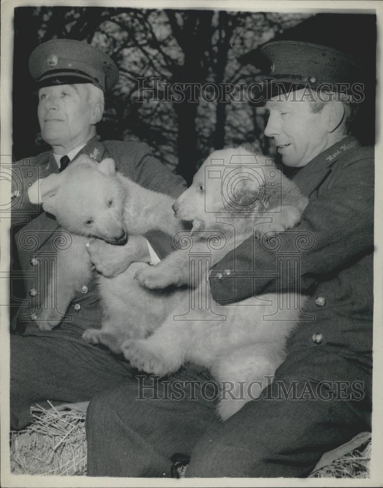 1961 Press Photo Baby Polar Bears Whipsnade Zoo Lawrence Conway Frank Meakins - Historic Images