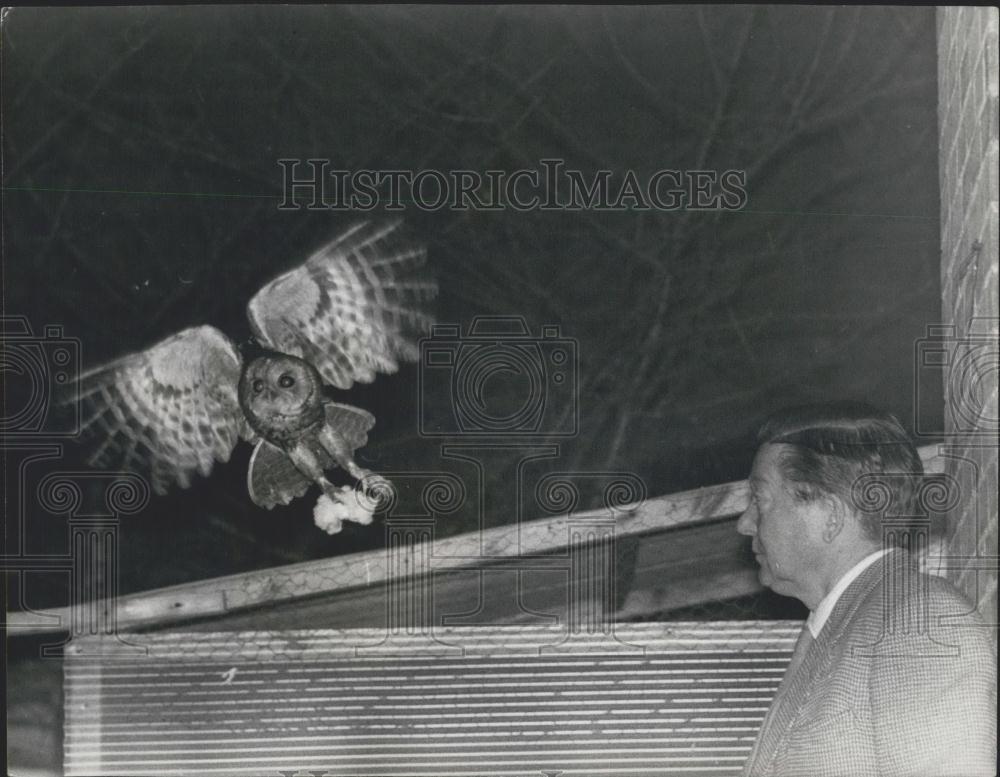 Press Photo Patrick Matthews With Rescued Owl Iver - Historic Images