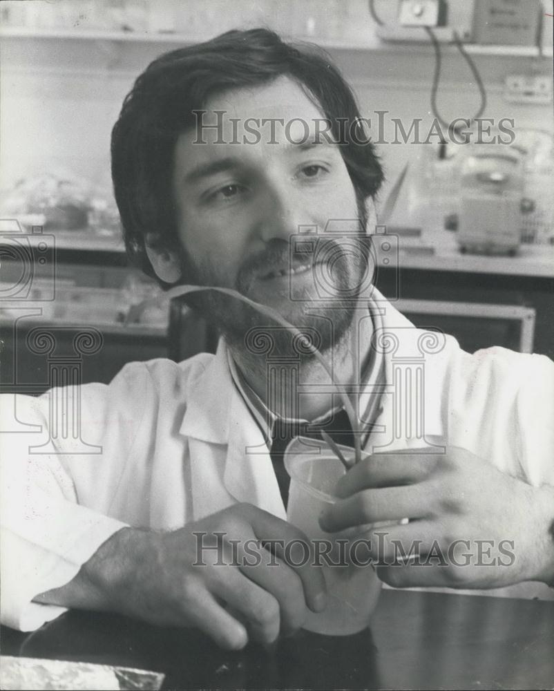 1976 Press Photo Dr. Neil Baker Examining A Maize Plant In Essex University Lab - Historic Images