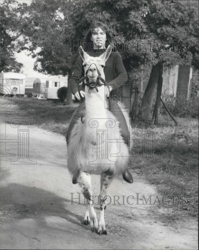 1917 Press Photo Julie rides to the village - by Llama - Historic Images