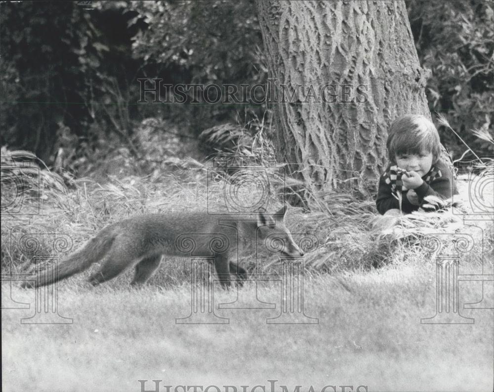 Press Photo Christian and his friend ayoung wild fox - Historic Images