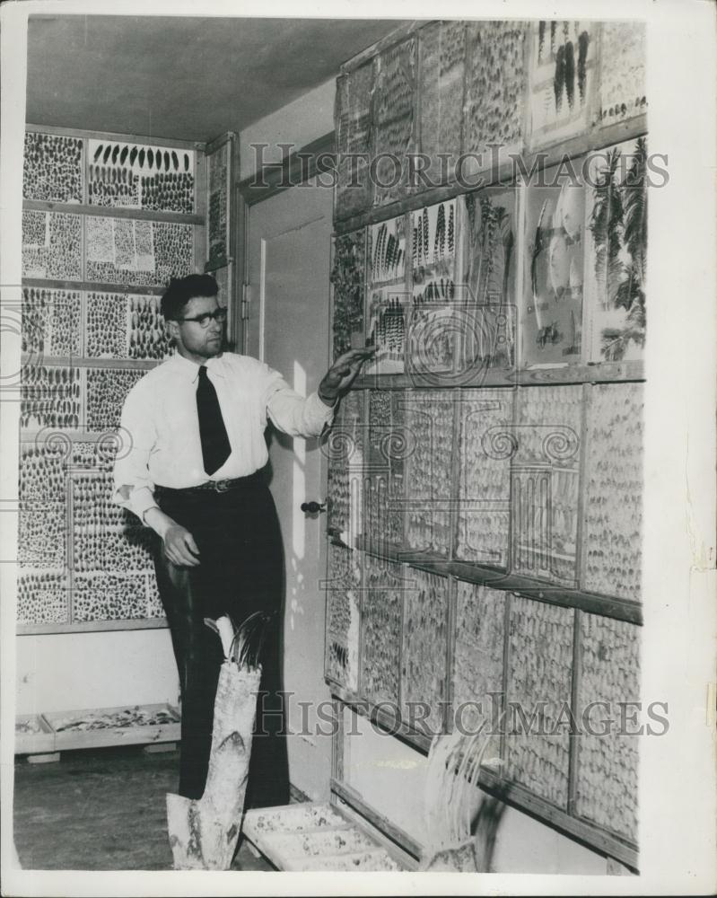 1964 Press Photo Denmark Feather Man Herrluf Hansen Retired From Farming - Historic Images