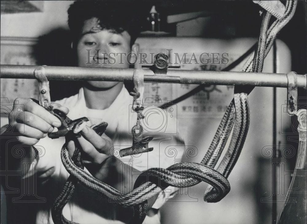 Press Photo Tokyo where a nice bit of grilled snake gourmet food - Historic Images