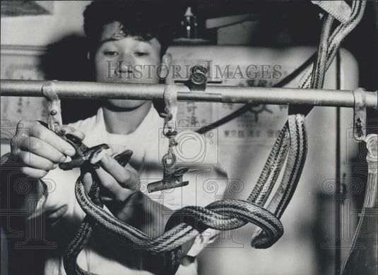 Press Photo Tokyo where a nice bit of grilled snake gourmet food - Historic Images