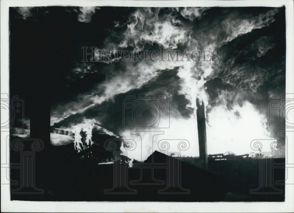 1960 Press Photo Riot at Lord Montague&#39;s Jazz Festival - Historic Images