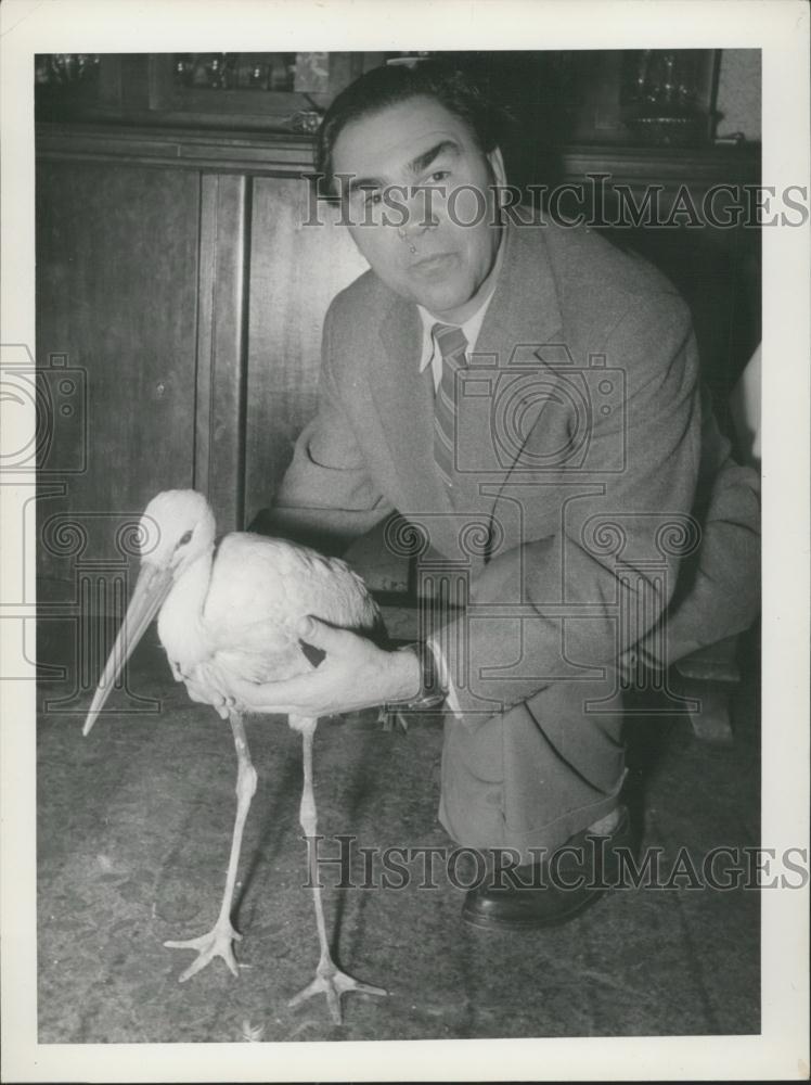 Press Photo Maxe Adebar and a stork - Historic Images