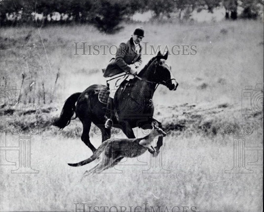 Press Photo first whipper-in Mr Bob Simpson chases a kangaroo - Historic Images
