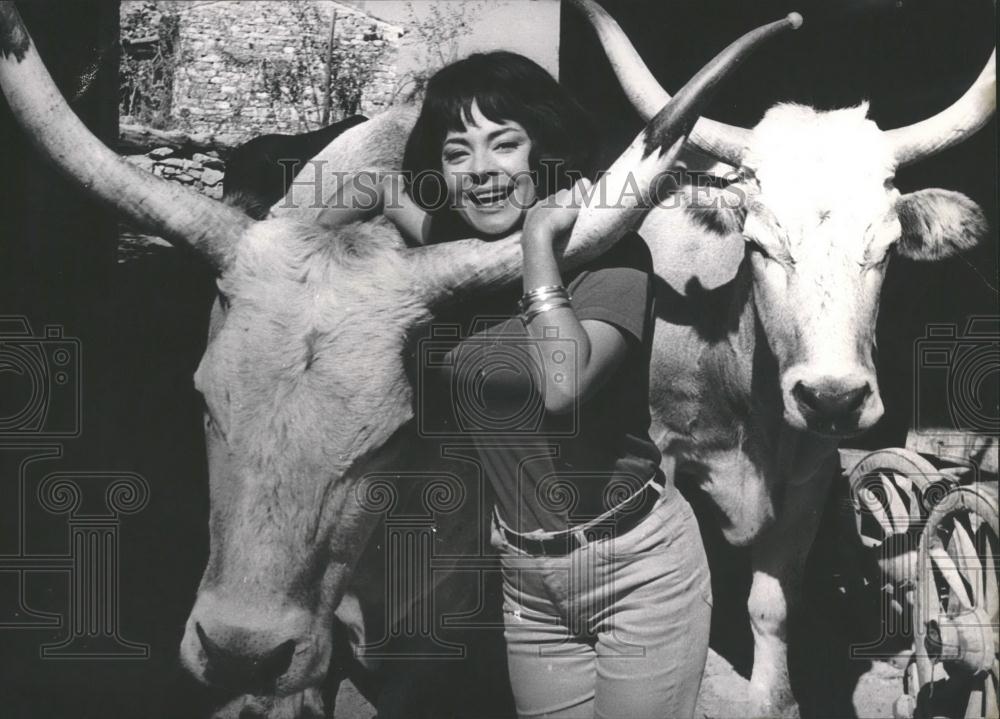 1964 Press Photo Actress Ann Savo Posing With Bulls Jugoslavia - Historic Images