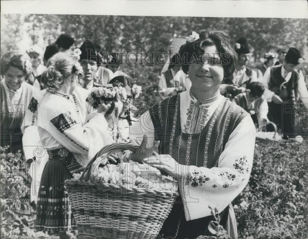 1971 Press Photo Valley Of Roses, Kazanluk Bulgaria, Day Of The Rose - Historic Images