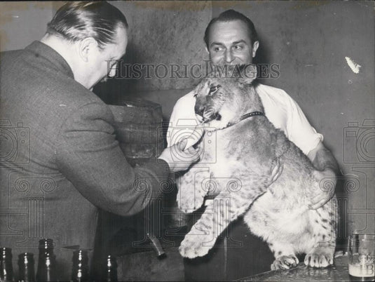 1952 Press Photo Herr Franz Trimborn and a young lion - Historic Images