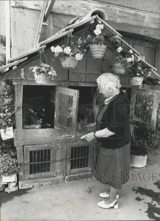 1981 Press Photo Rabbits in Switzerland Love Near Flower Decorated Home - Historic Images