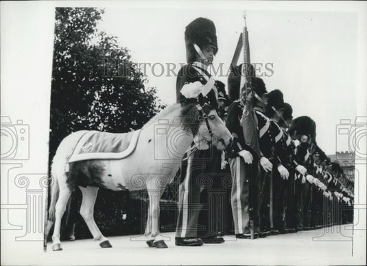 Press Photo Kristoffer goes to parade - Historic Images