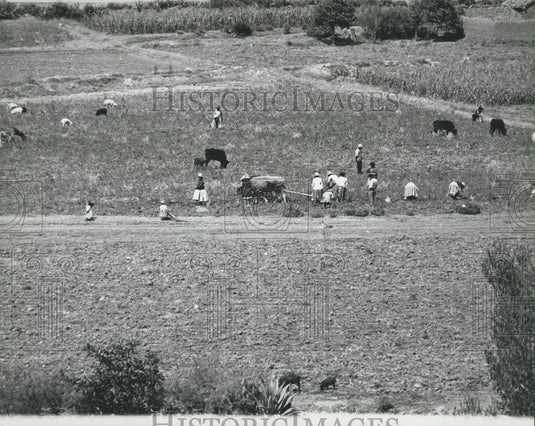 Press Photo Agricultural Valley is the Callsjon de Hunyles - Historic Images