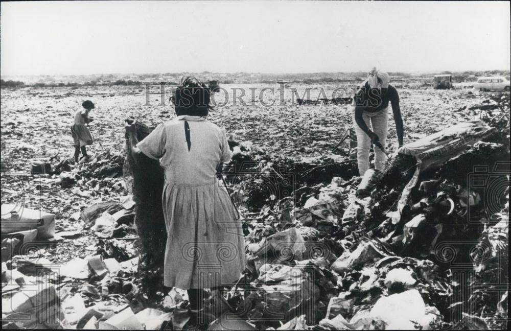 1971 Press Photo Venezuelan Poor Collecting Materials From Garbage Caracas - Historic Images
