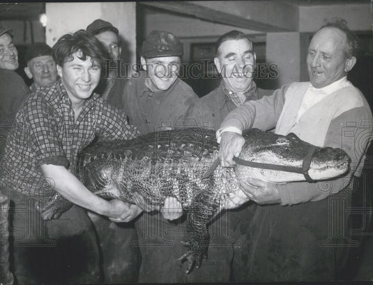 1958 Press Photo Munich salesman and his pet crocodile - Historic Images
