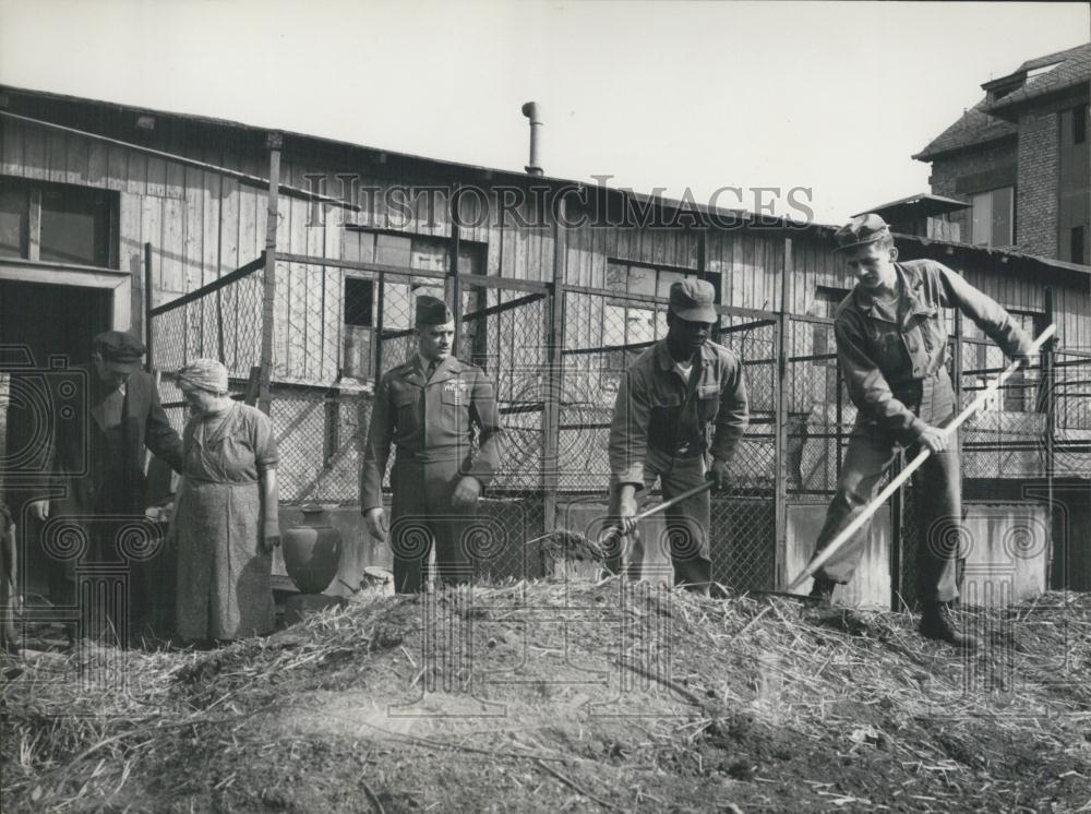 1954 Press Photo German 60 MP&#39;sHelp Woman Clean Animals Homes After Husband Die - Historic Images